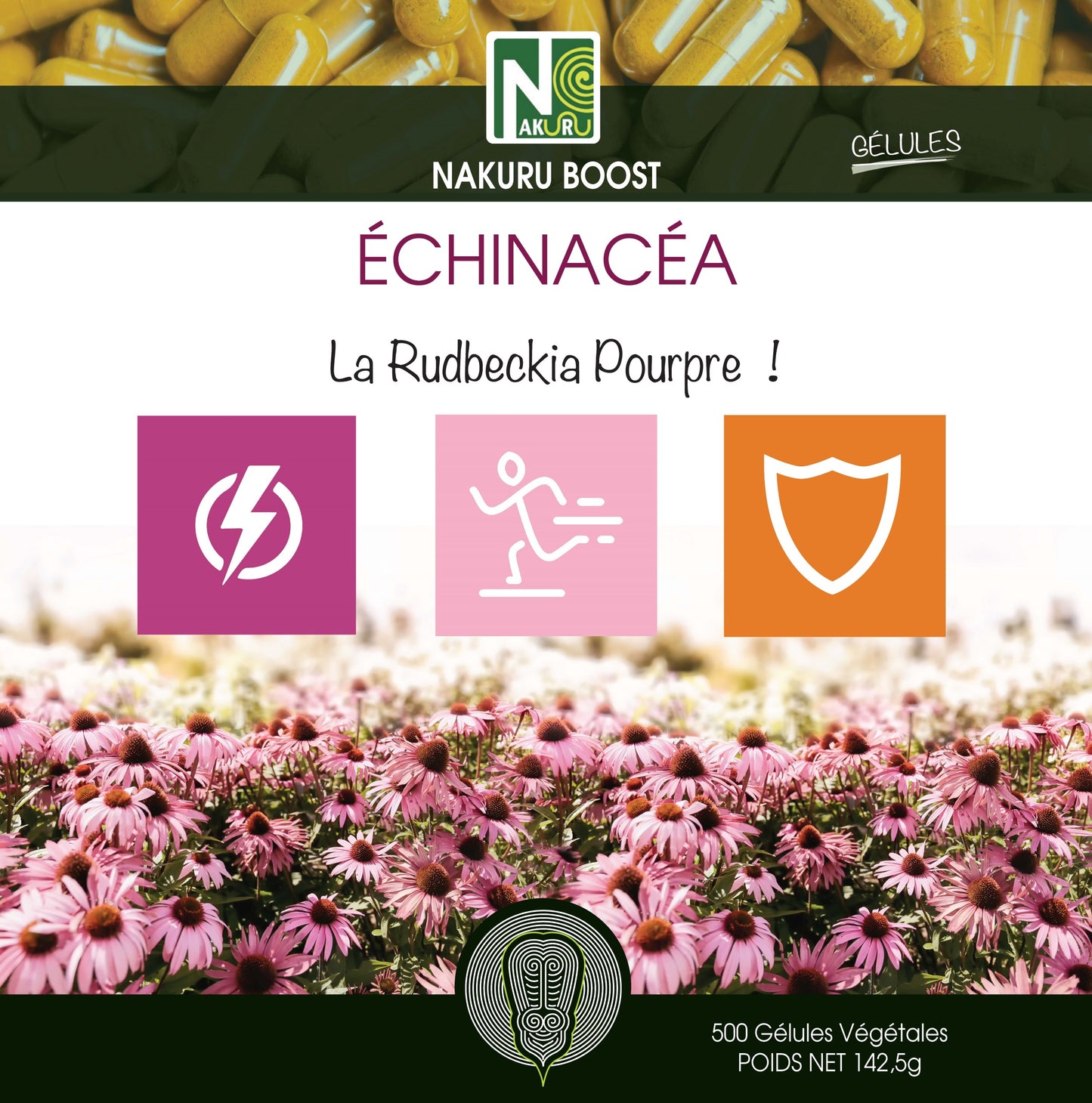 Échinacéa | 500 Gélules Végétales | Gamme Boost | Fabriqué en France | "La Rudbeckia Pourpre !"