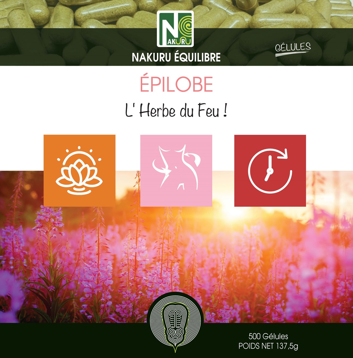 Épilobe | 500 Gélules |Gamme Équilibre | Fabriqué en France | "L'Herbe du Feu !"