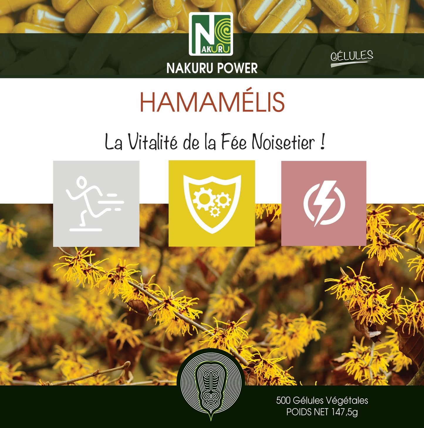Hamamélis | 500 Gélules Végétales | Gamme Power | Fabriqué en France | "La Vitalité de la Fée Noisetier!"