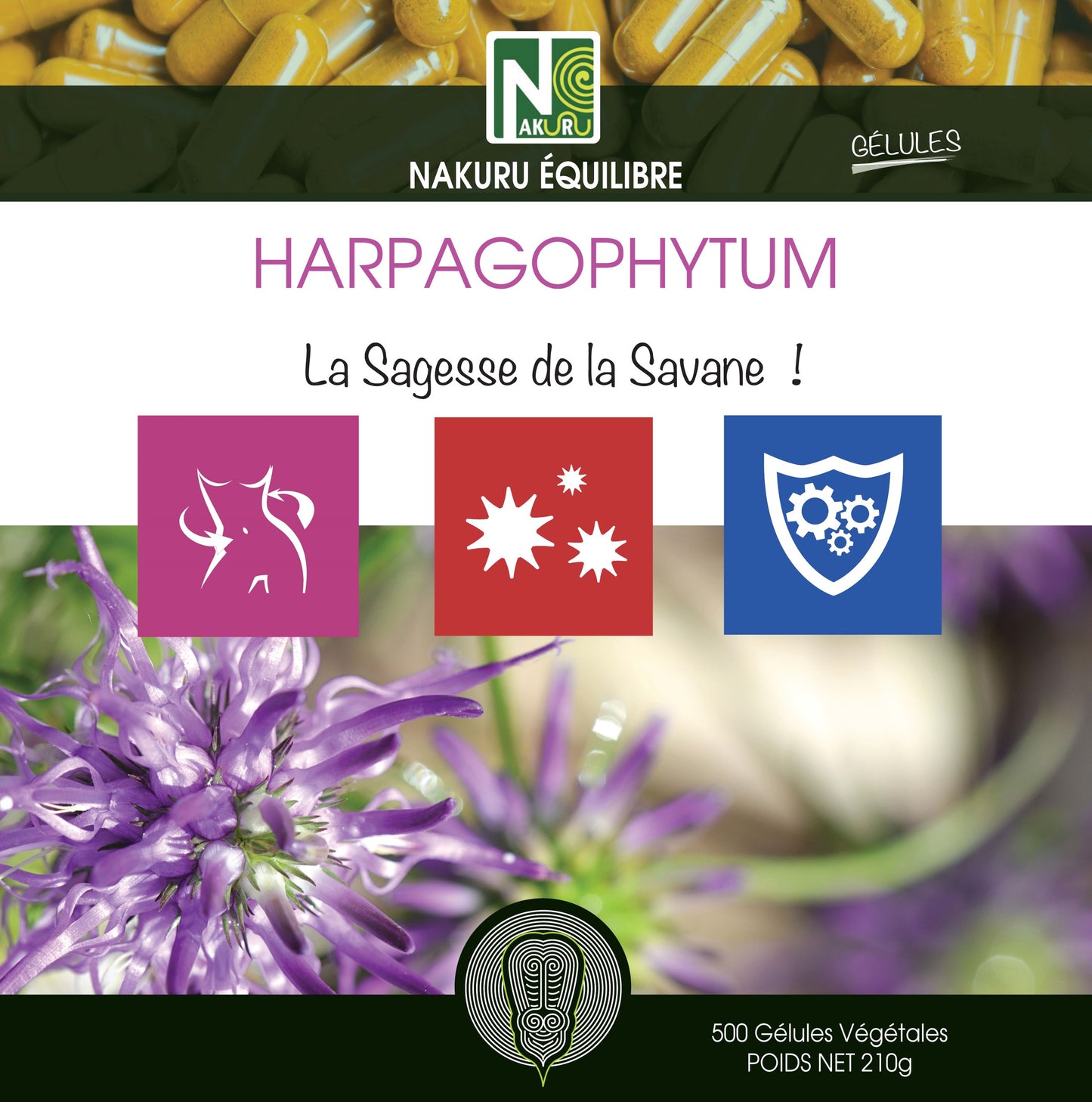 Harpagophytum | 500 Gélules Végétales | Gamme Equilibre | Fabriqué en France | "La Sagesse de la Savane!