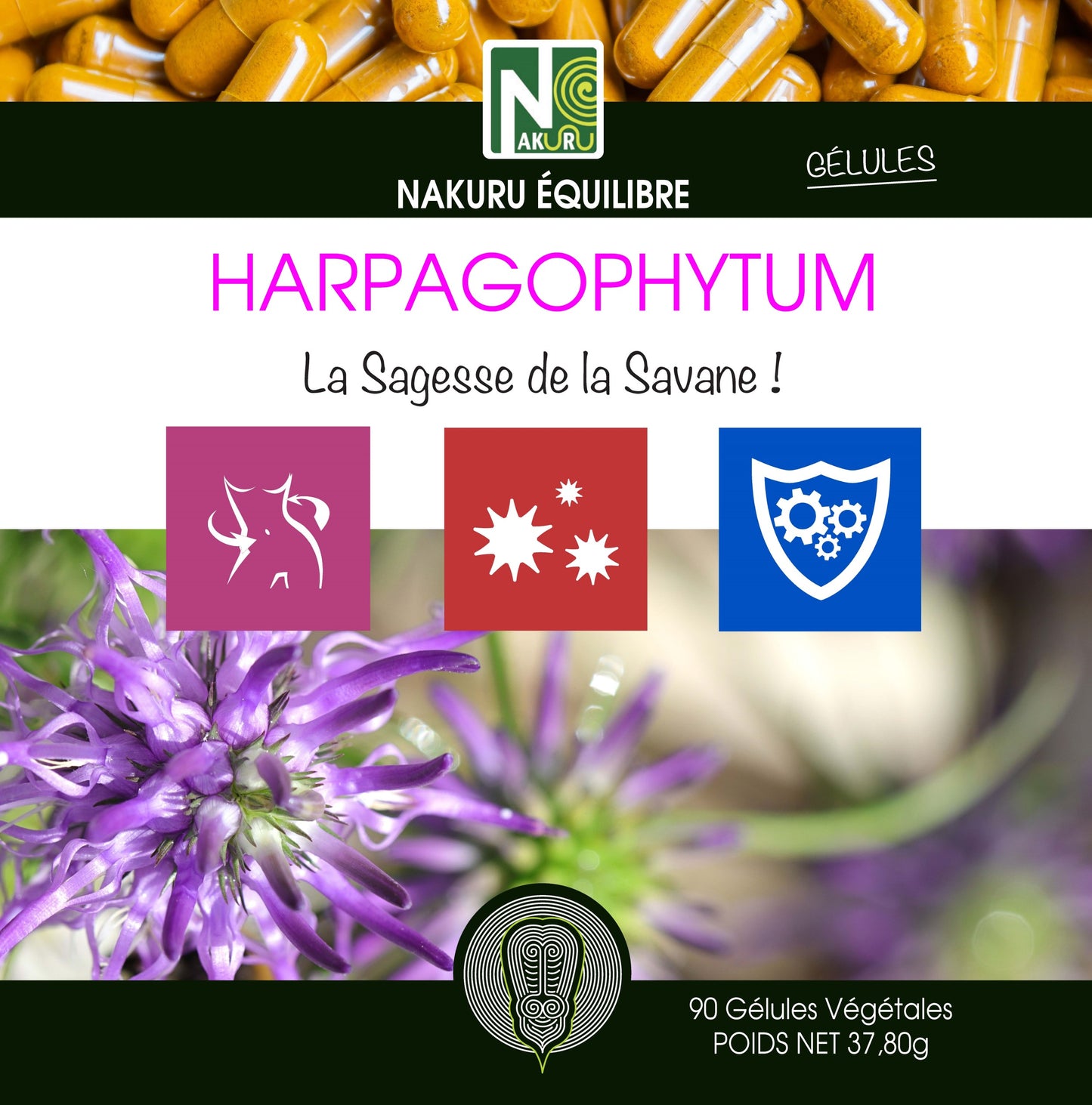Harpagophytum | 90 Gélules Végétales | Gamme Equilibre | Fabriqué en France | "La Sagesse de la Savane!