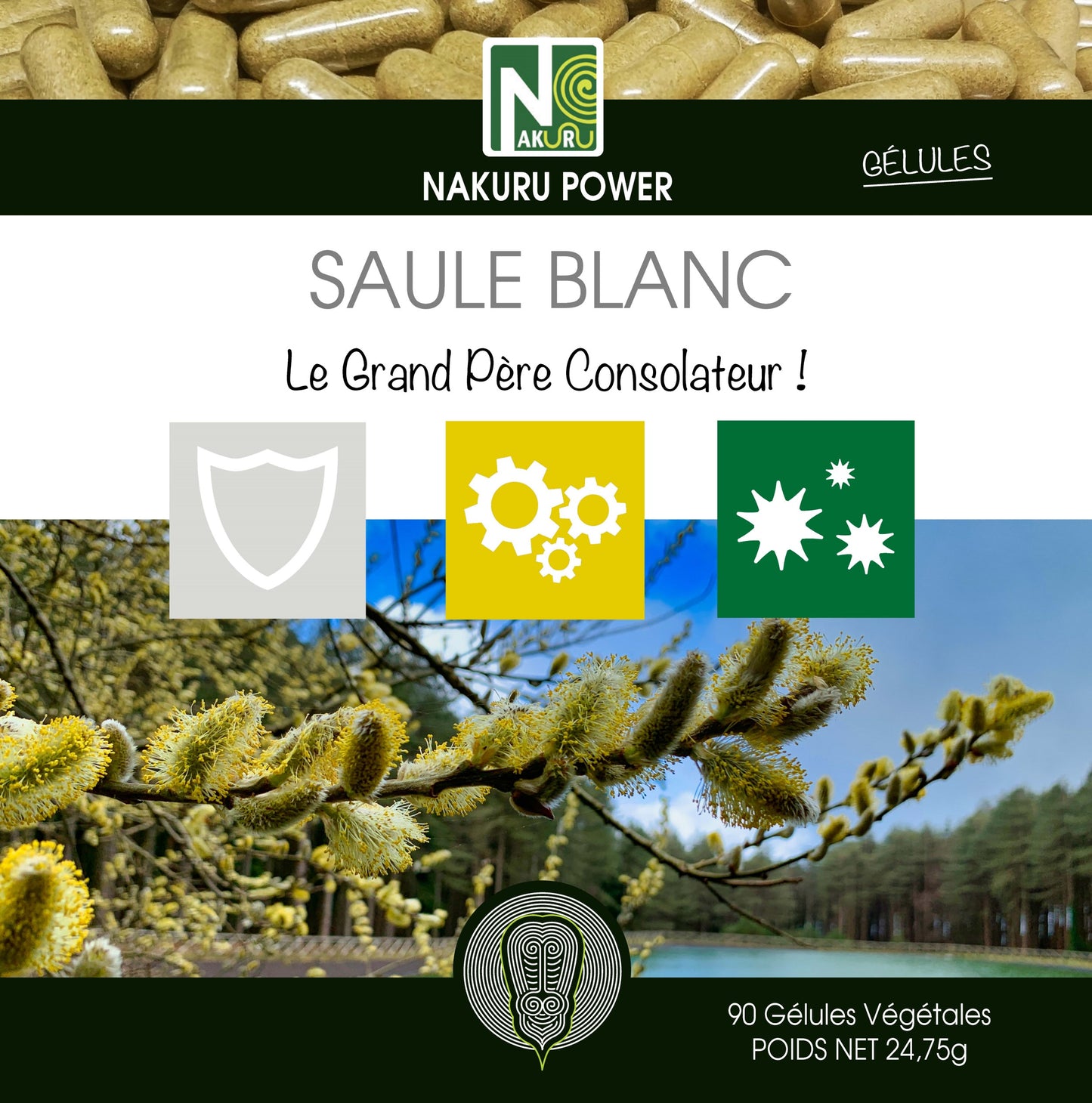 Saule Blanc | 90 Gélules Végétales| Gamme Power | Fabriqué en France | "Le Grand Père Consolateur !"