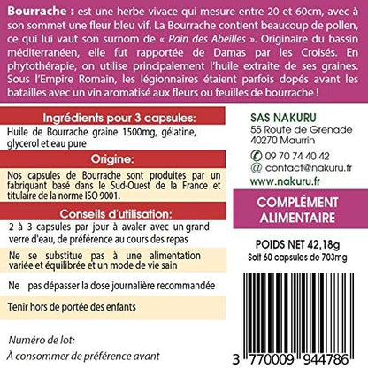 Bourrache