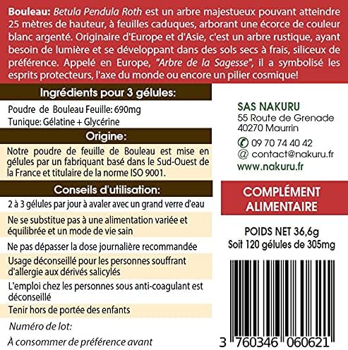 Bouleau