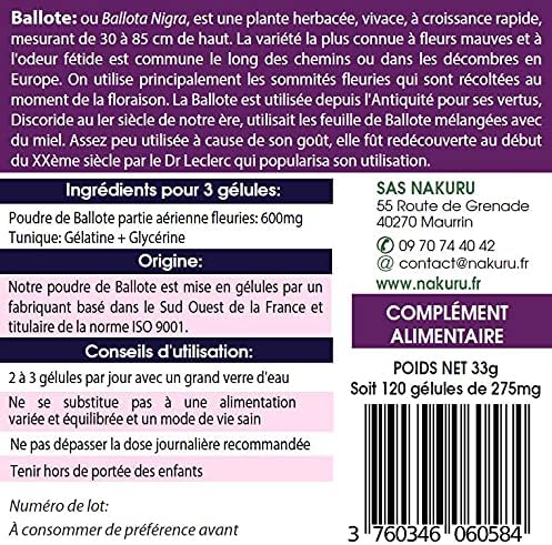 Ballote