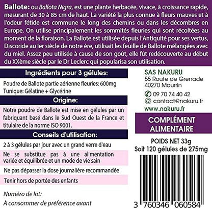Ballote