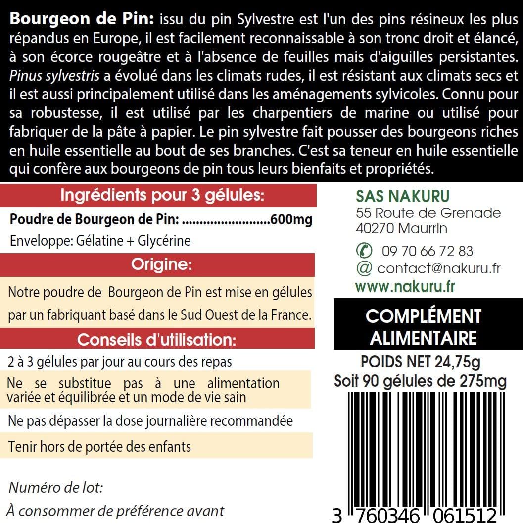 Bourgeon de Pin