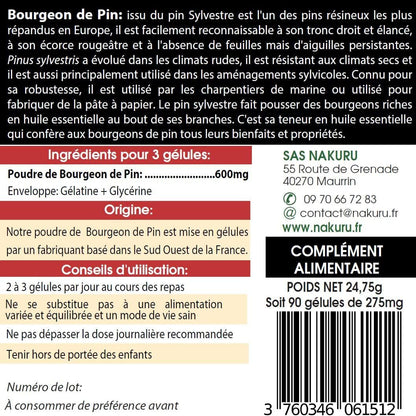 Bourgeon de Pin