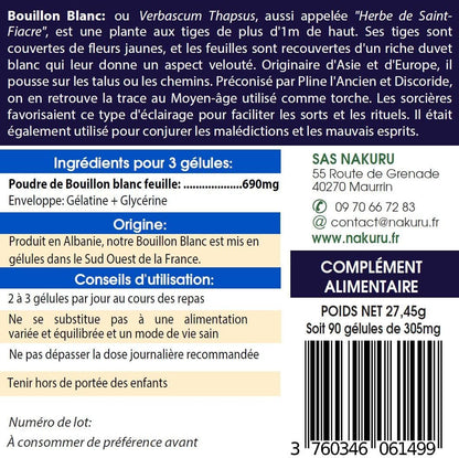 Bouillon 2