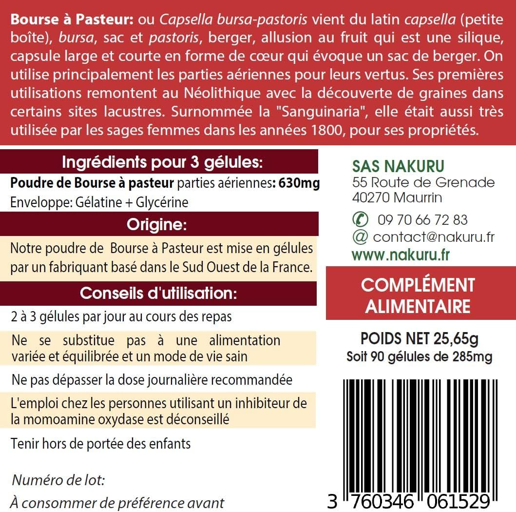 Bourse Pasteur