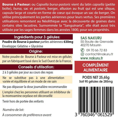 Bourse Pasteur