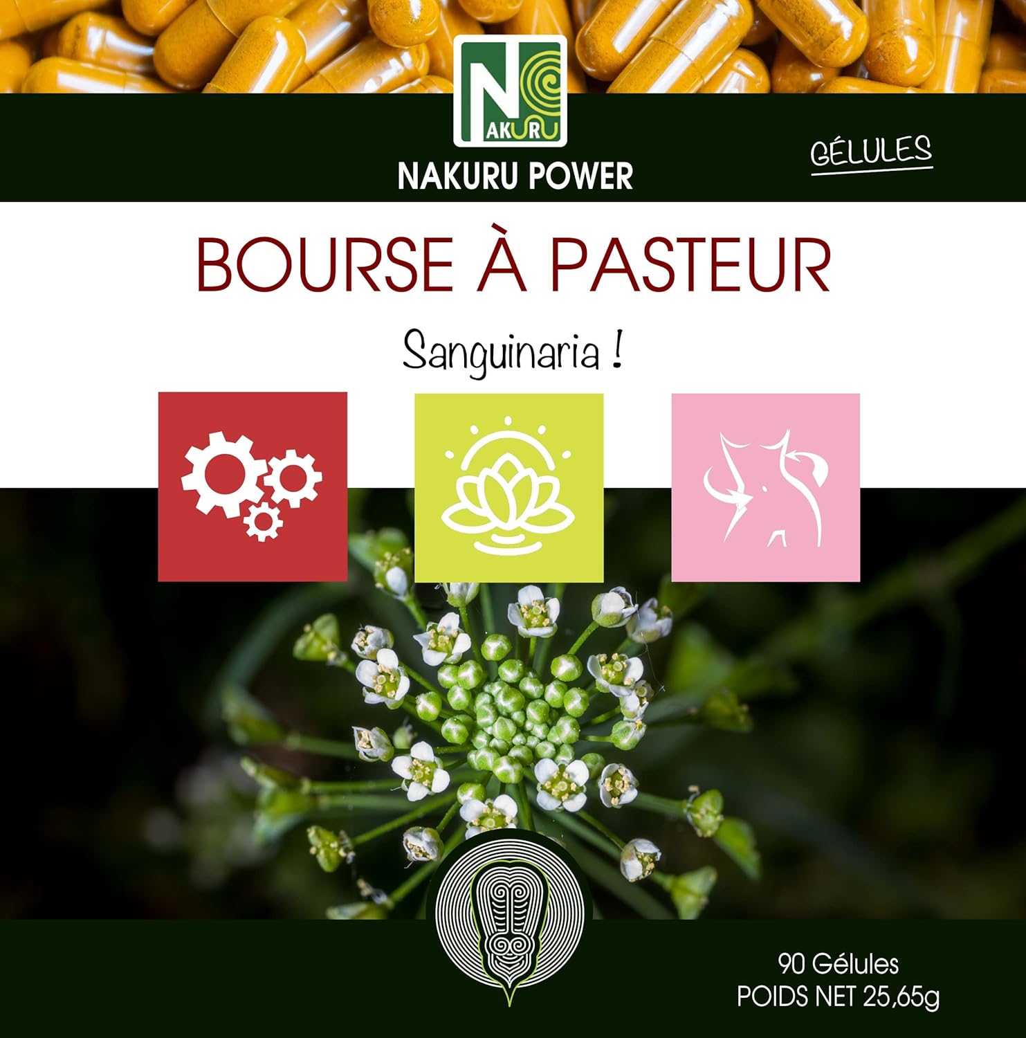 Bourse Pasteur