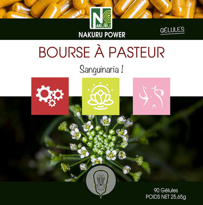 Bourse Pasteur