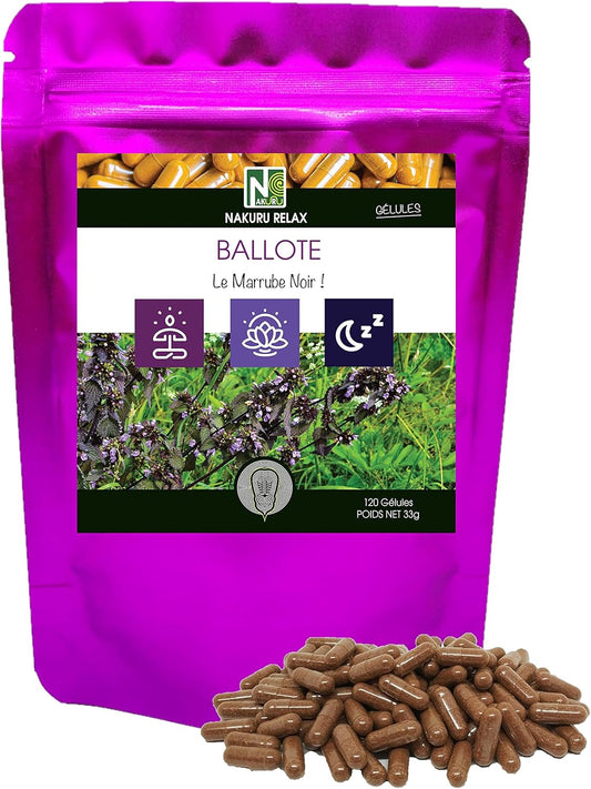 Ballote