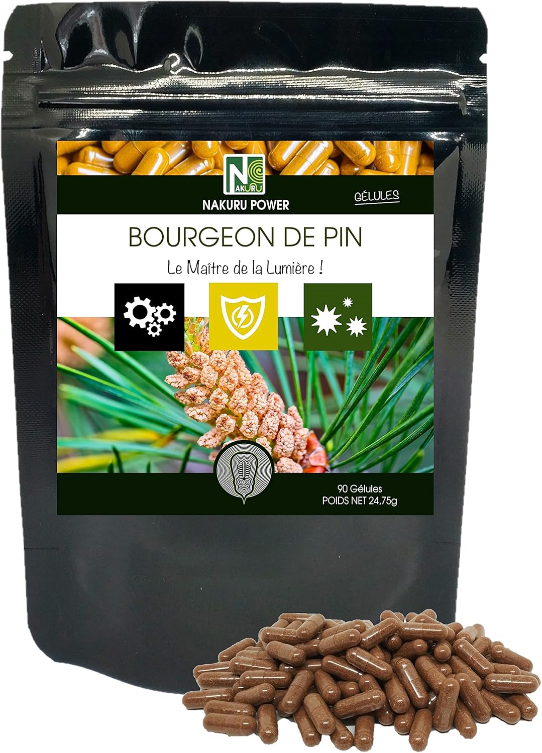 Bourgeon de Pin