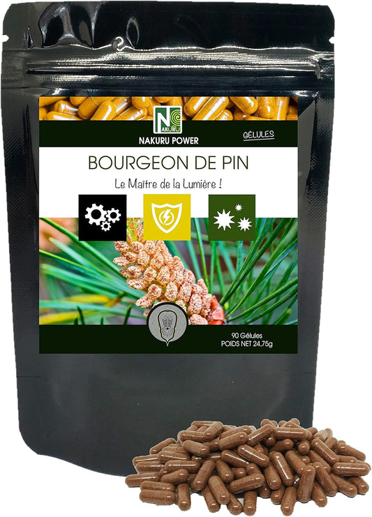 Bourgeon de Pin