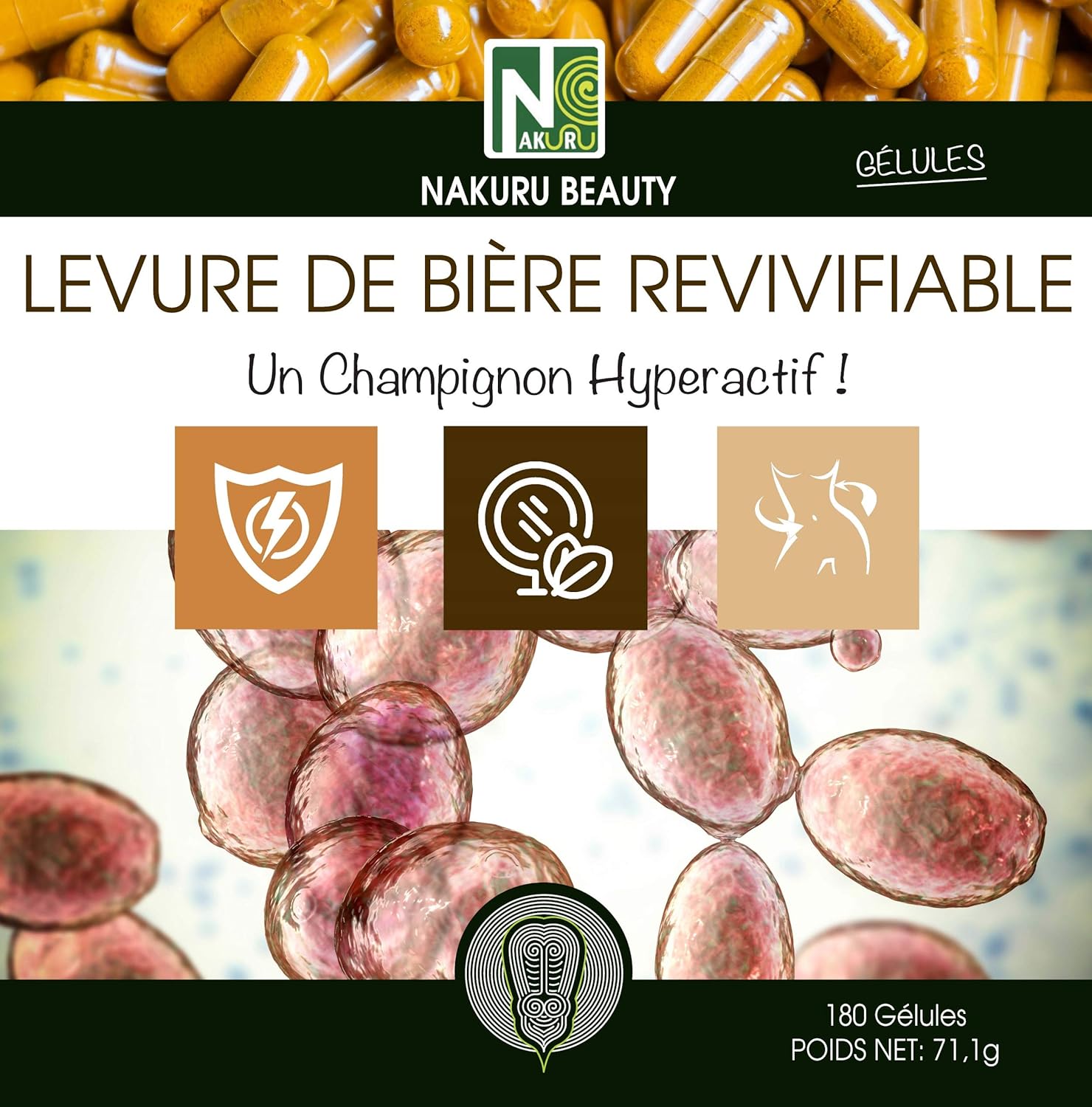 Levure Revivifable