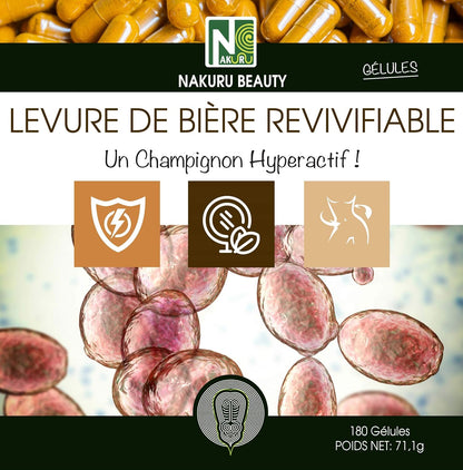 Levure Revivifable