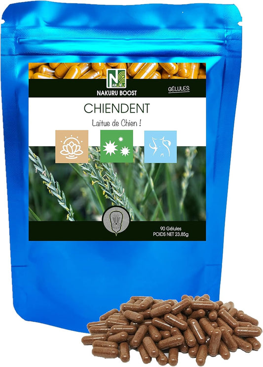 Chiendent