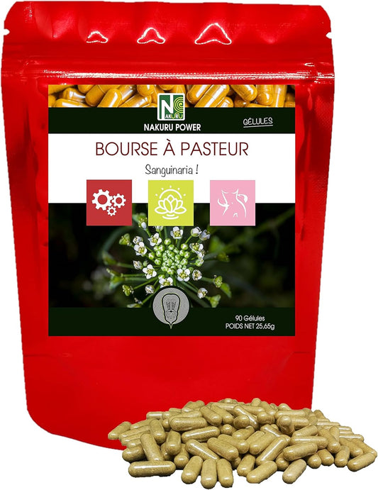 Bourse Pasteur