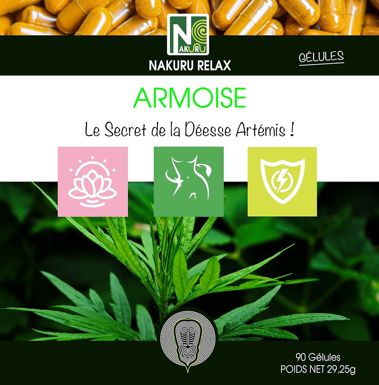 Armoise