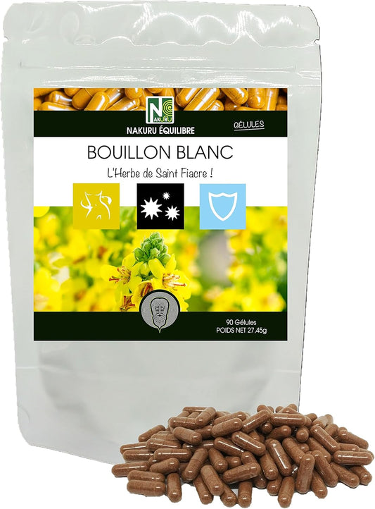 Bouillon 2