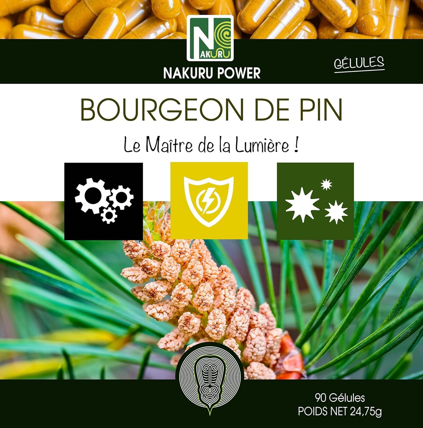 Bourgeon de Pin