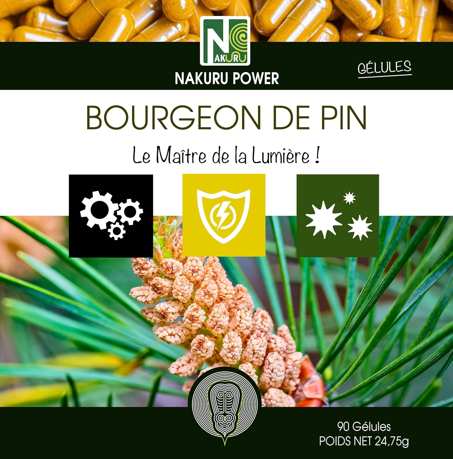Bourgeon de Pin