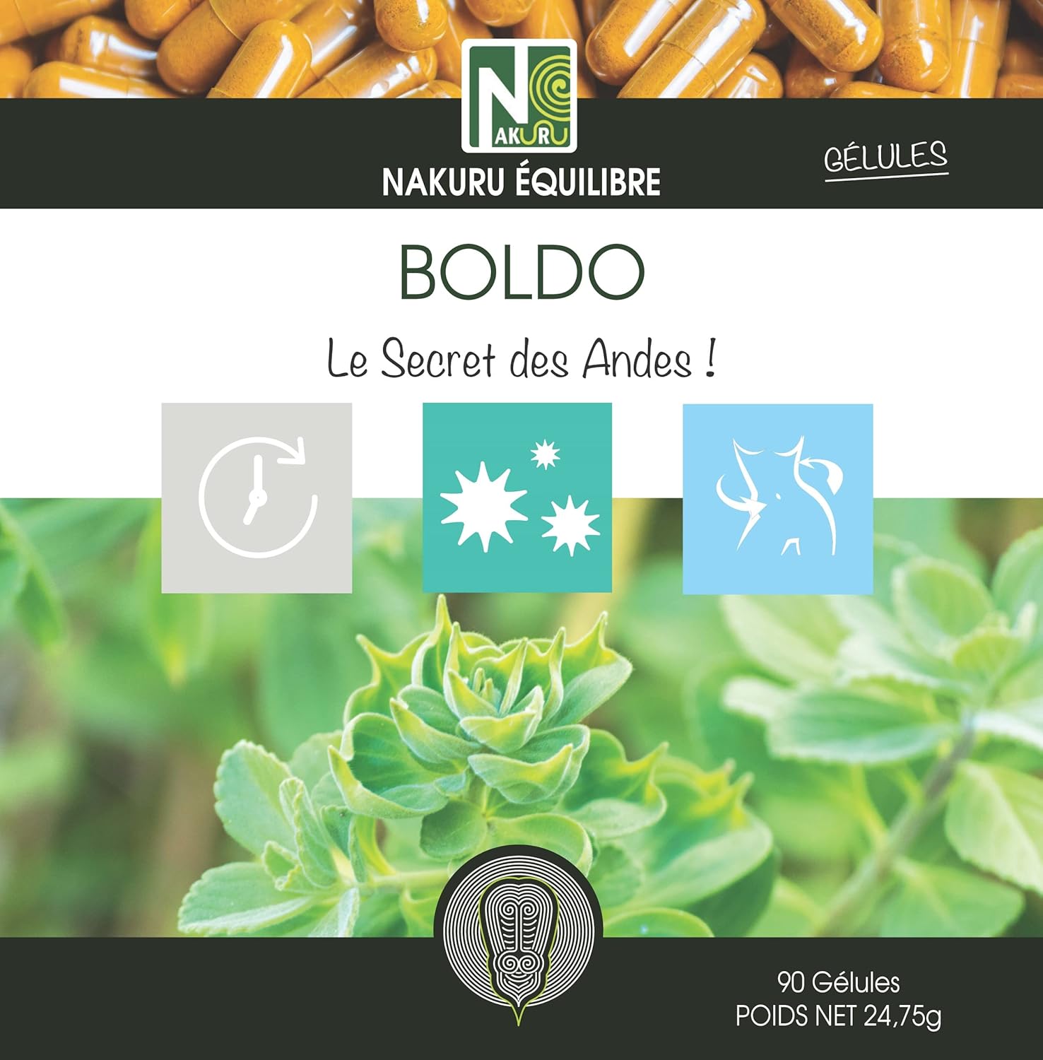Boldo