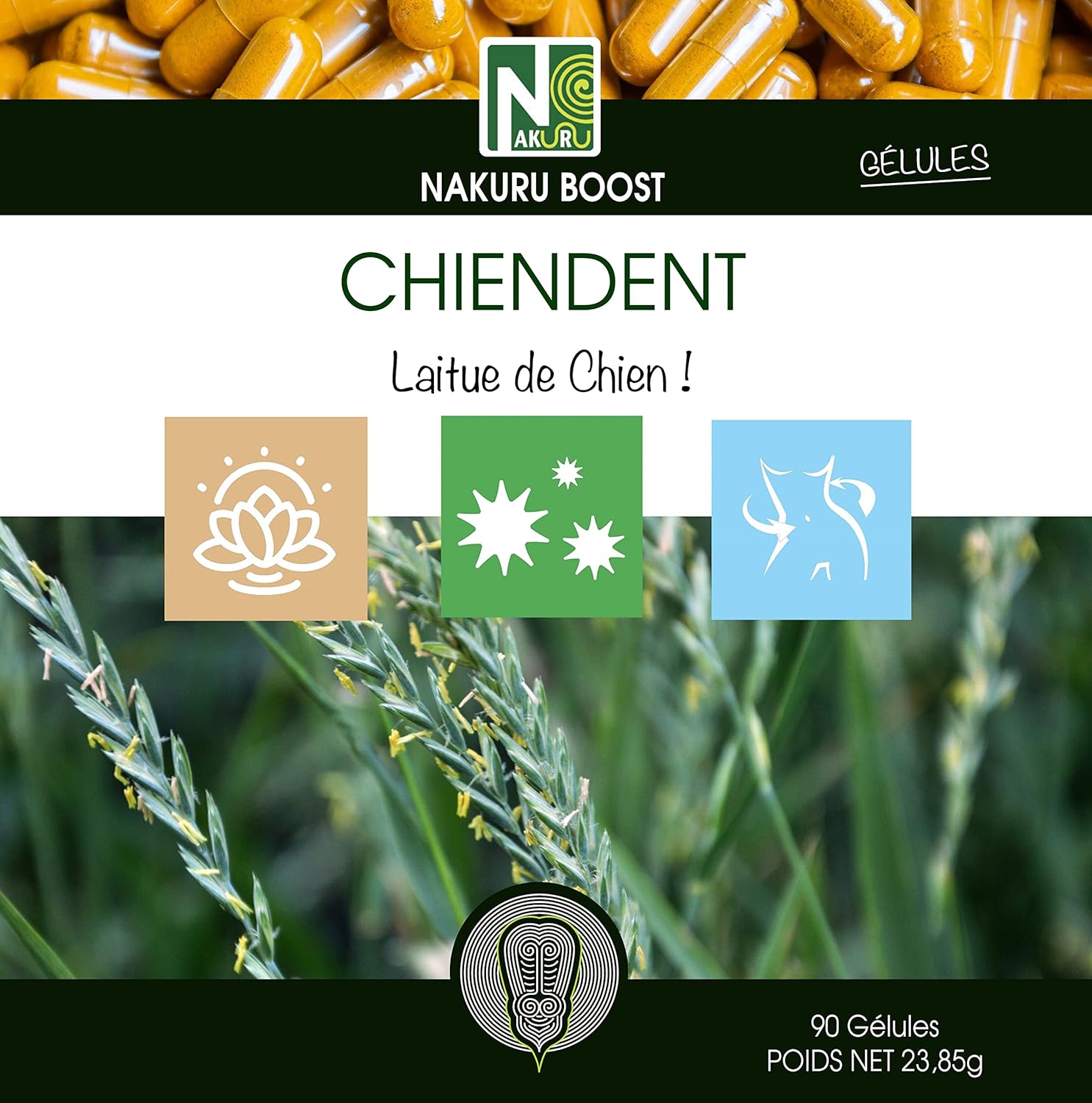 Chiendent