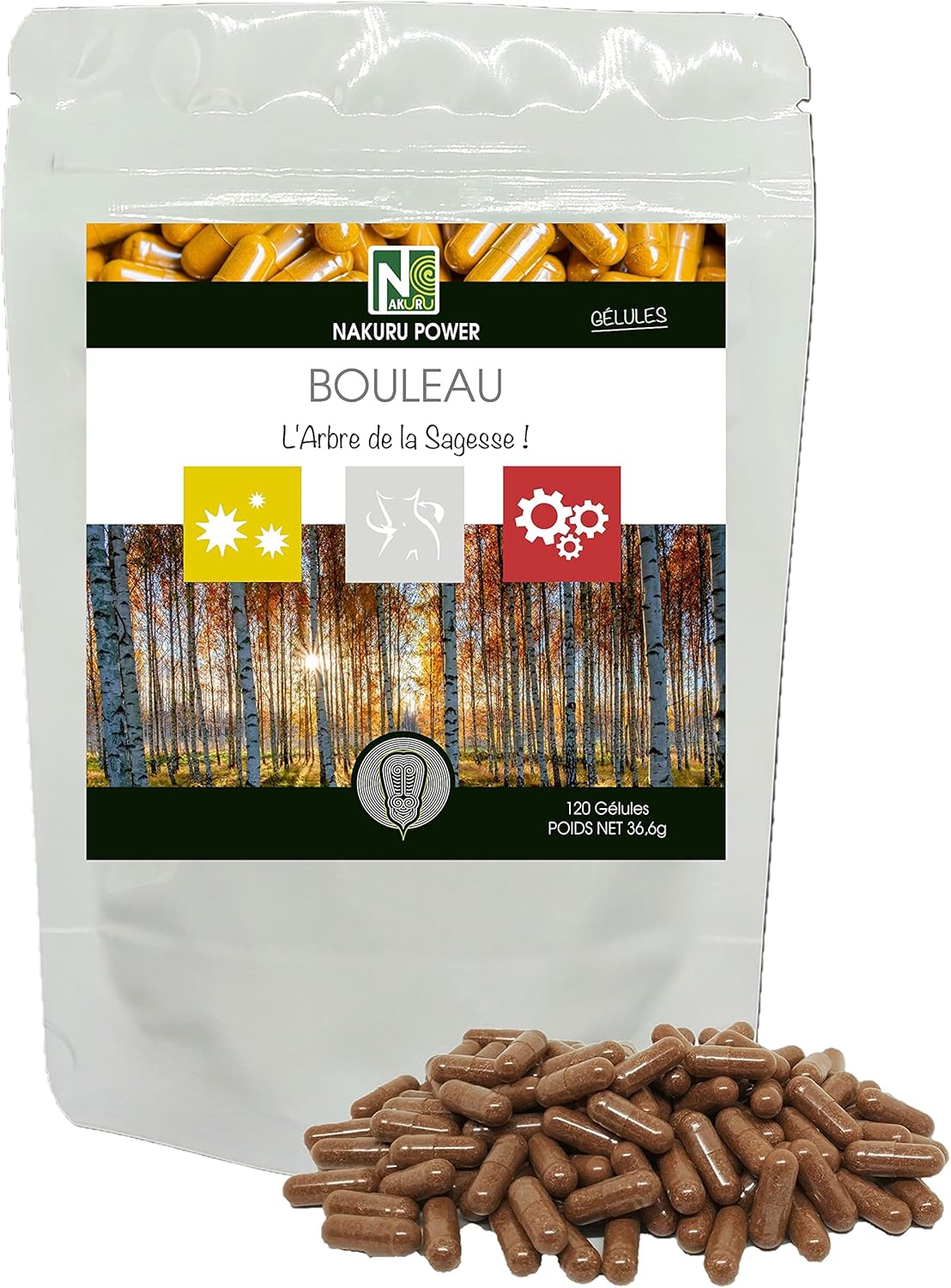 Bouleau