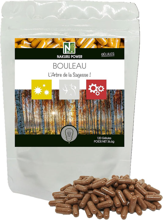 Bouleau