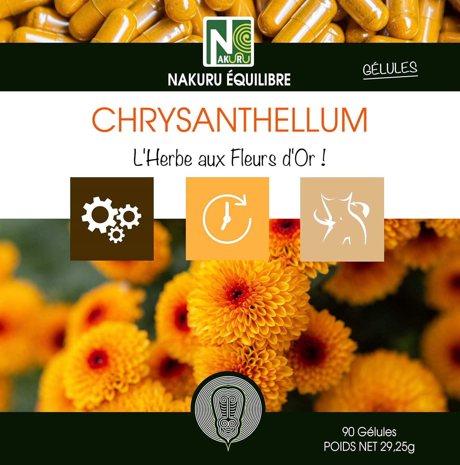 Chrysanthellum