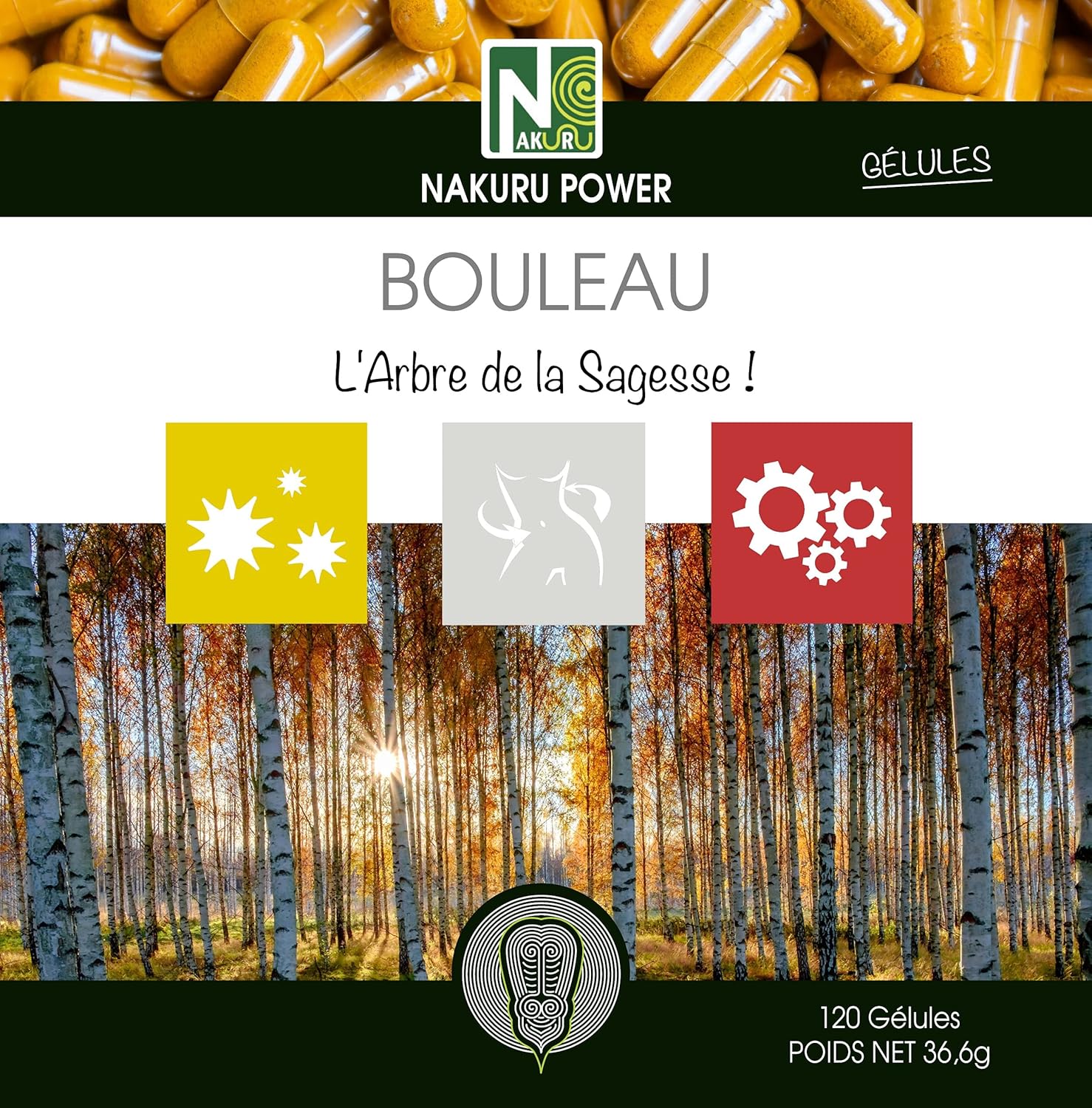 Bouleau