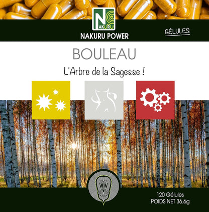 Bouleau