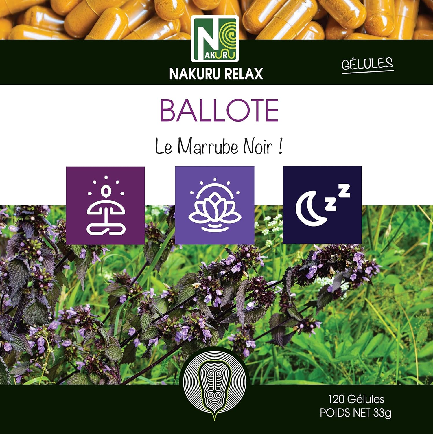Ballote