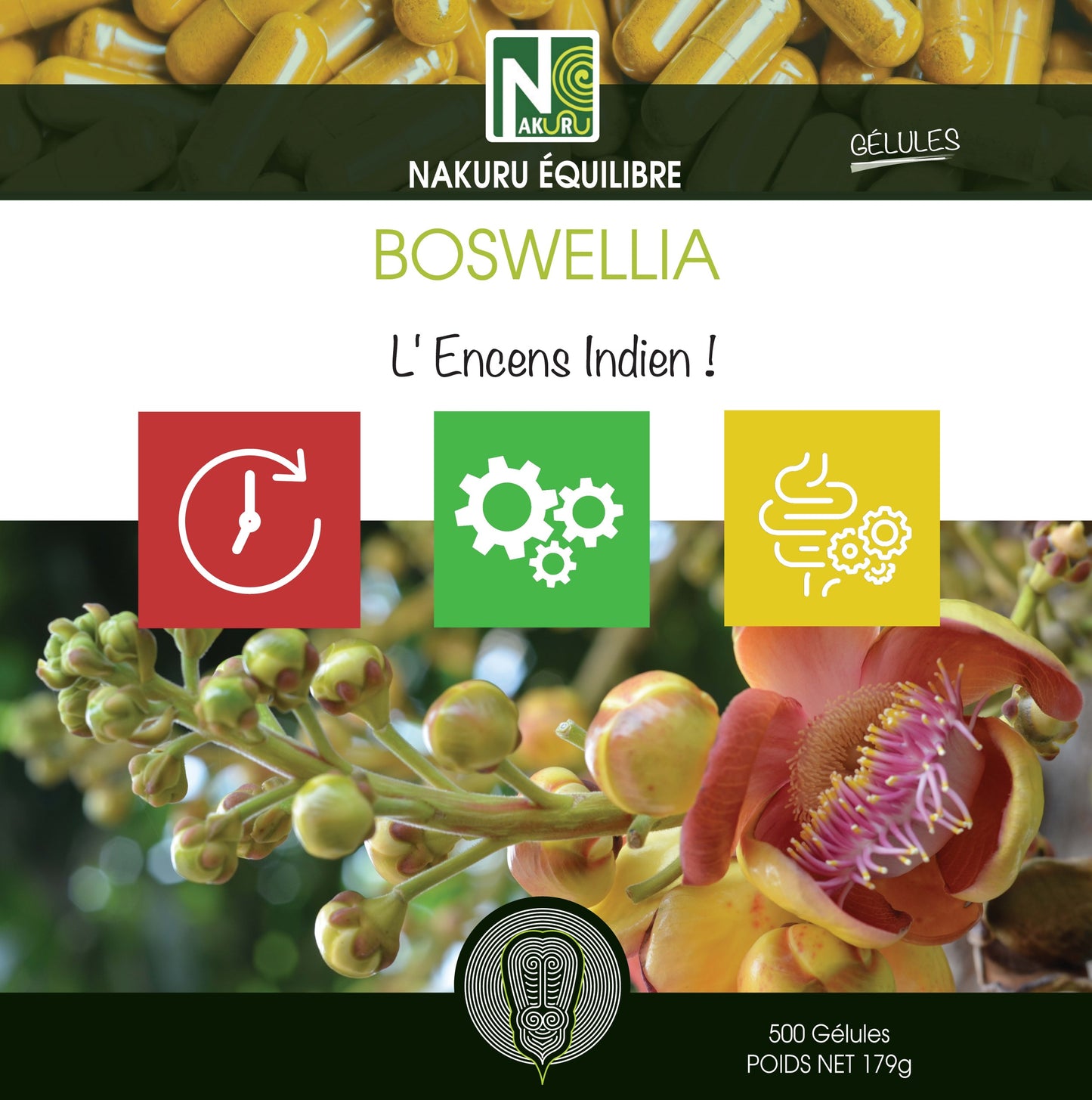 Boswellia | 500 Gélules | Gamme Équilibre | Fabriqué en France | "L'Encens Indien !"