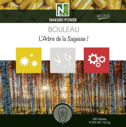 Bouleau | 500 Gélules | NAKURU Power | Fabriqué en France | "L'Arbre de la Sagesse !"