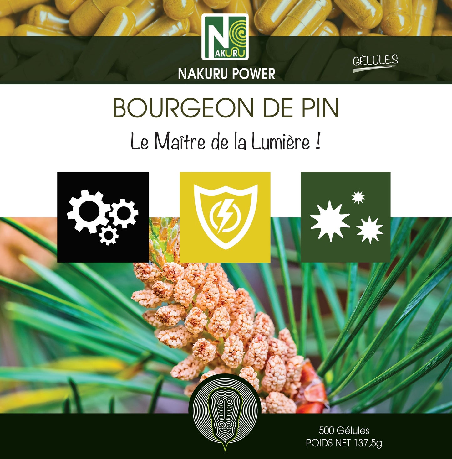 Bourgeon de Pin | 500 Gélules | Gamme Power | Fabriqué en France | "Le Maître de la Lumière !"