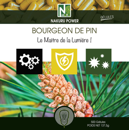 Bourgeon de Pin | 500 Gélules | Gamme Power | Fabriqué en France | "Le Maître de la Lumière !"