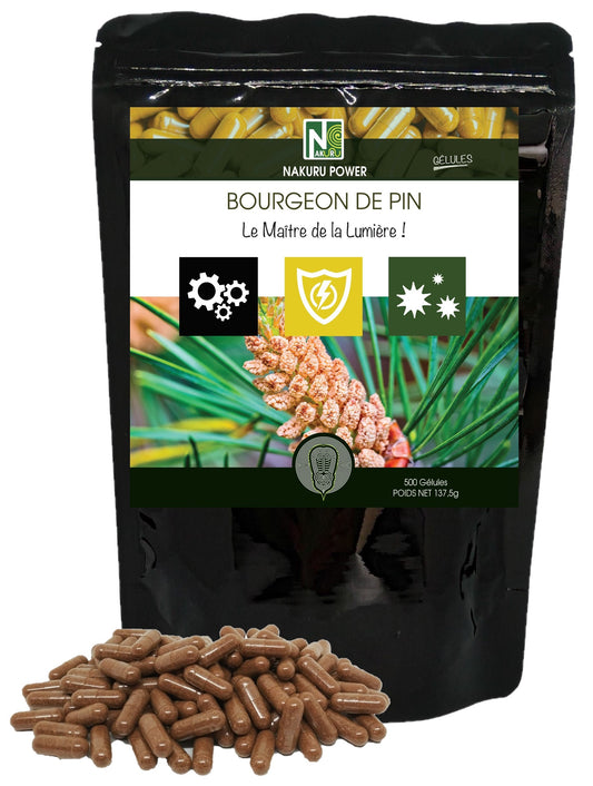 Bourgeon de Pin | 500 Gélules | Gamme Power | Fabriqué en France | "Le Maître de la Lumière !"