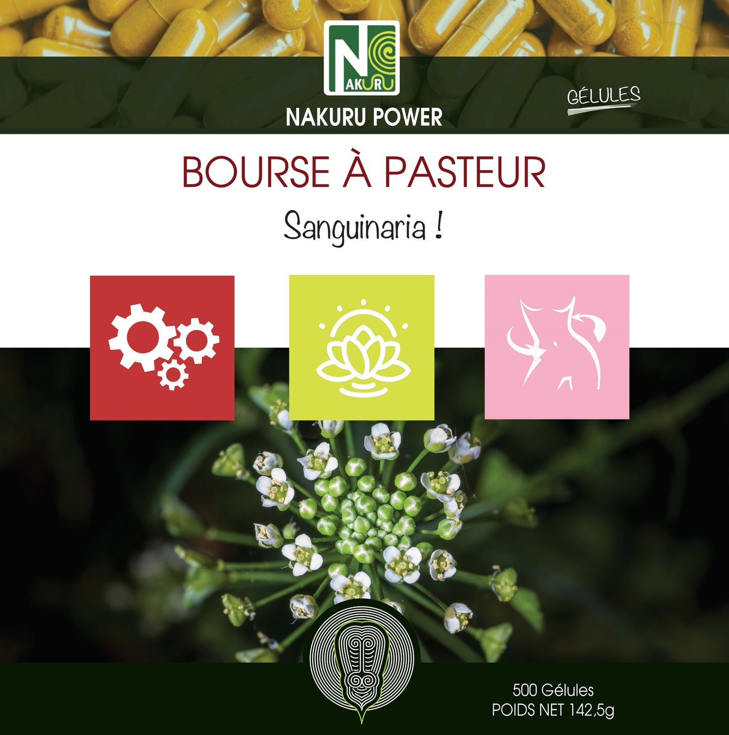 Bourse à Pasteur | 500 Gélules | Gamme Power | Fabriqué en France | "Sanguinaria !"