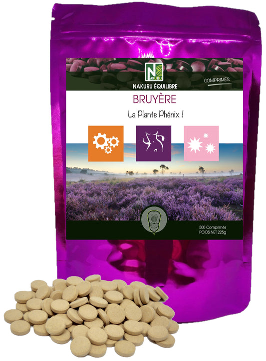 Bruyère | 500 Comprimés | Gamme Équilibre | Fabriqué en France | "La Plante Phénix!"