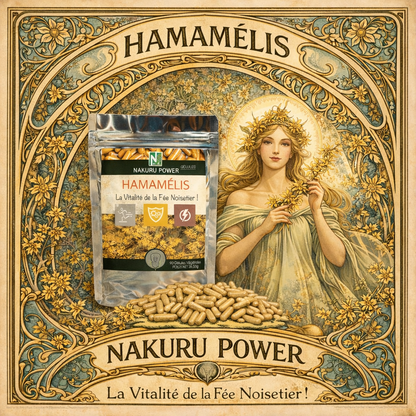Hamamélis | 500 Gélules Végétales | Gamme Power | Fabriqué en France | "La Vitalité de la Fée Noisetier!"