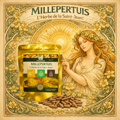 Millepertuis | 90 Gélules Végétales | Gamme Relax | Fabriqué en France | "L’Herbe de la Saint-Jean!"