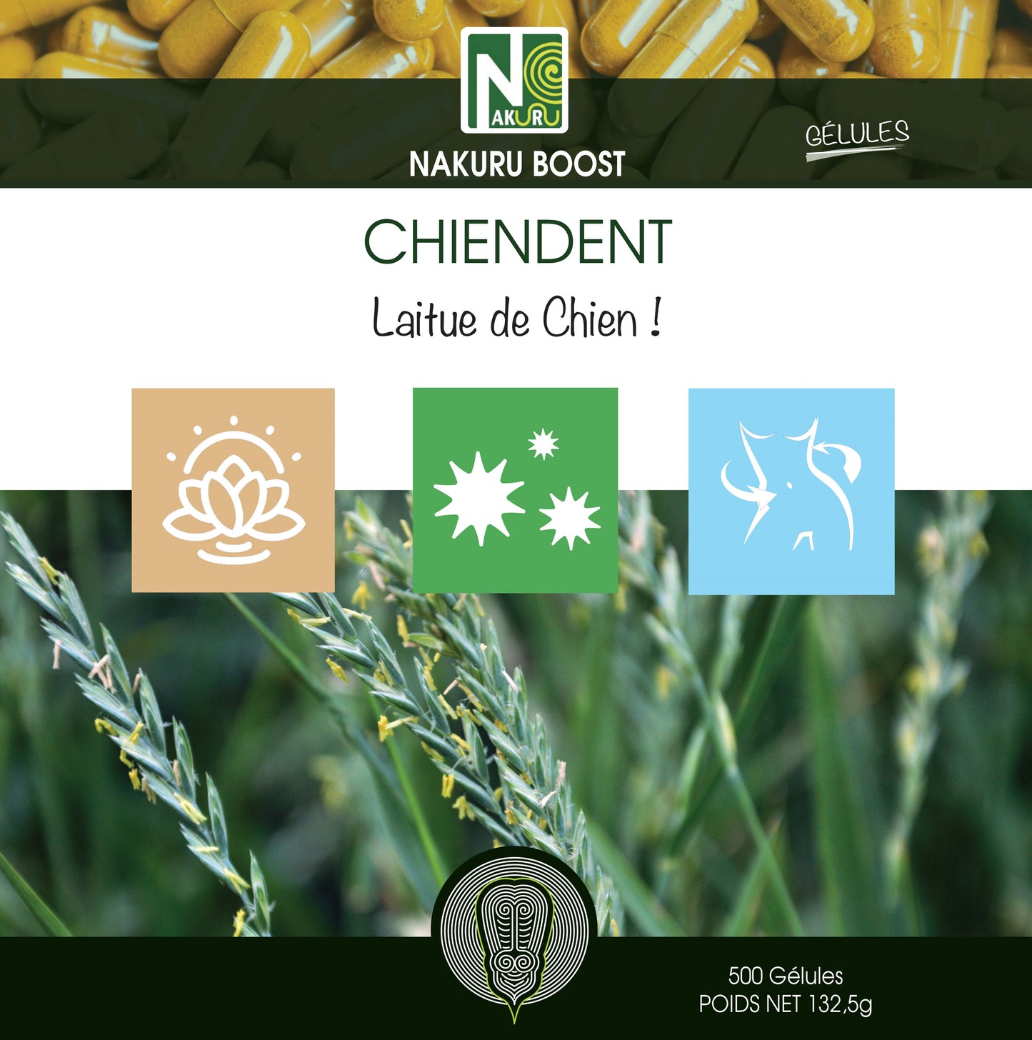 Chiendent | 500 Gélules | Gamme Boost | Fabriqué en France | "Laitue de Chien !"