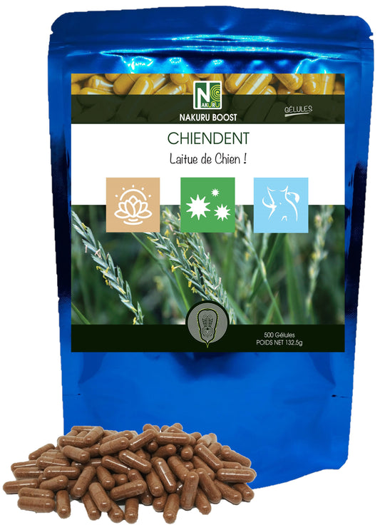 Chiendent | 500 Gélules | Gamme Boost | Fabriqué en France | "Laitue de Chien !"