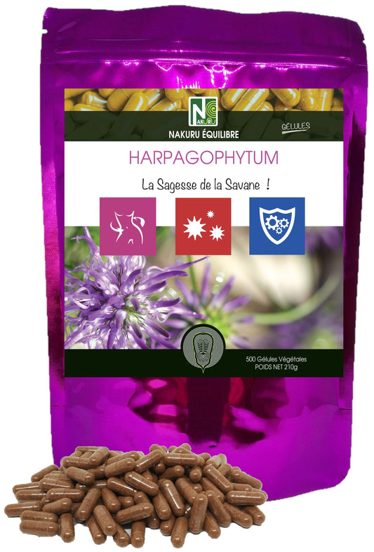 Harpagophytum | 500 Gélules Végétales | Gamme Equilibre | Fabriqué en France | "La Sagesse de la Savane!