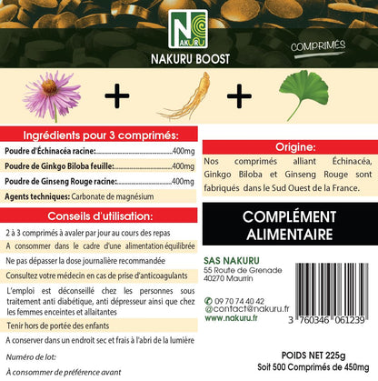 Énergie = Échinacéa + Ginseng Rouge + Ginkgo Biloba | 500 Comprimés | Gamme Boost | Fabriqué en France