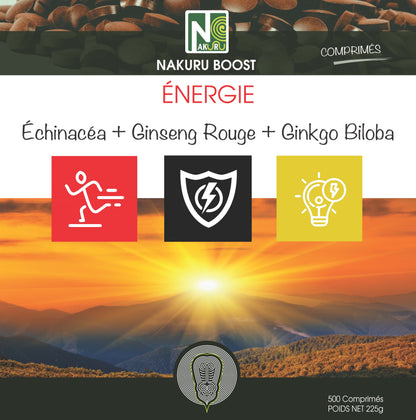 Énergie = Échinacéa + Ginseng Rouge + Ginkgo Biloba | 500 Comprimés | Gamme Boost | Fabriqué en France